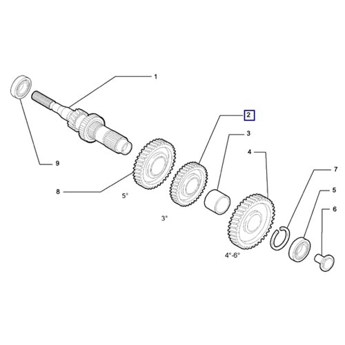 3. VITES DISLISI JEST ( KARSILIK DISLISI )
