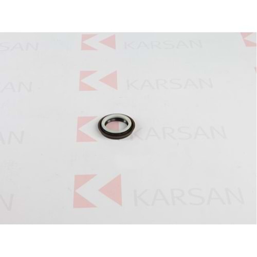 AKS KEÇESİ SOL JEST