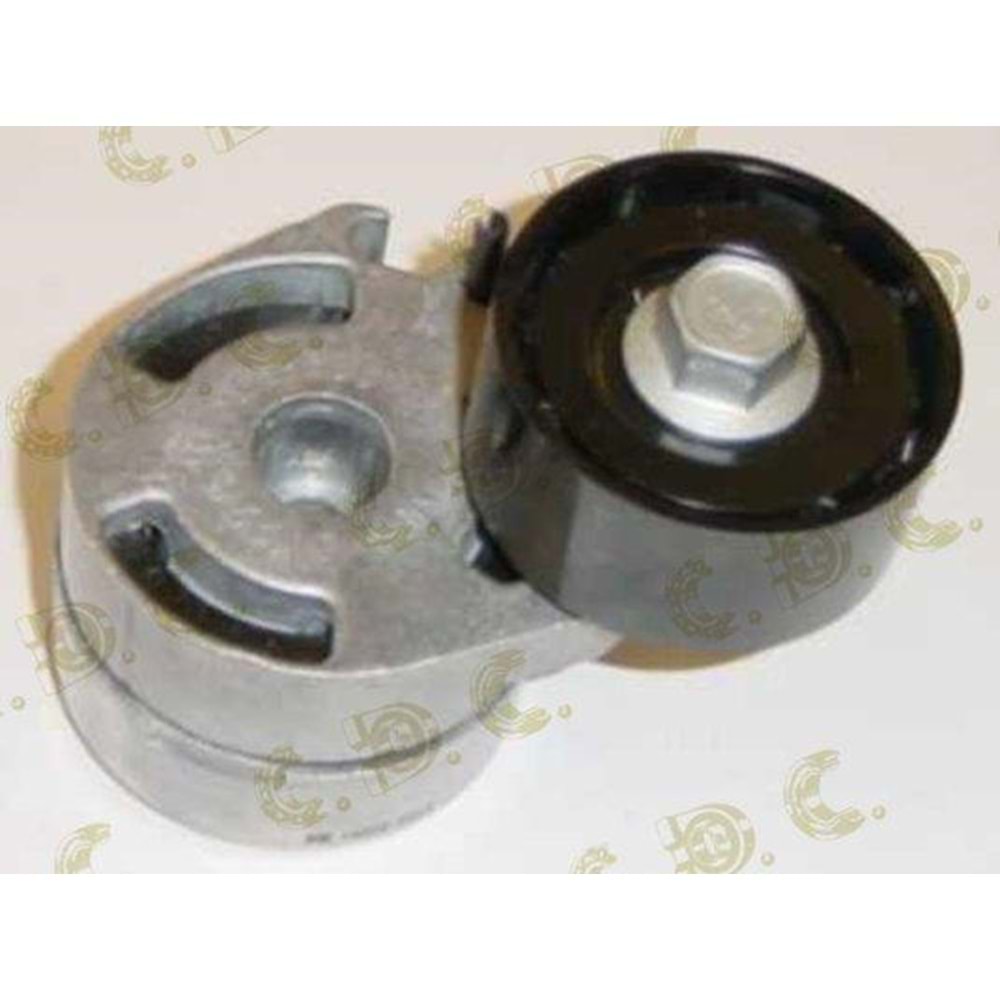 OTOMATİK GERGİ 206 307 407 ALTERNATÖR GERGİ RULMANI KÜTÜKLÜ 206 DV4TD