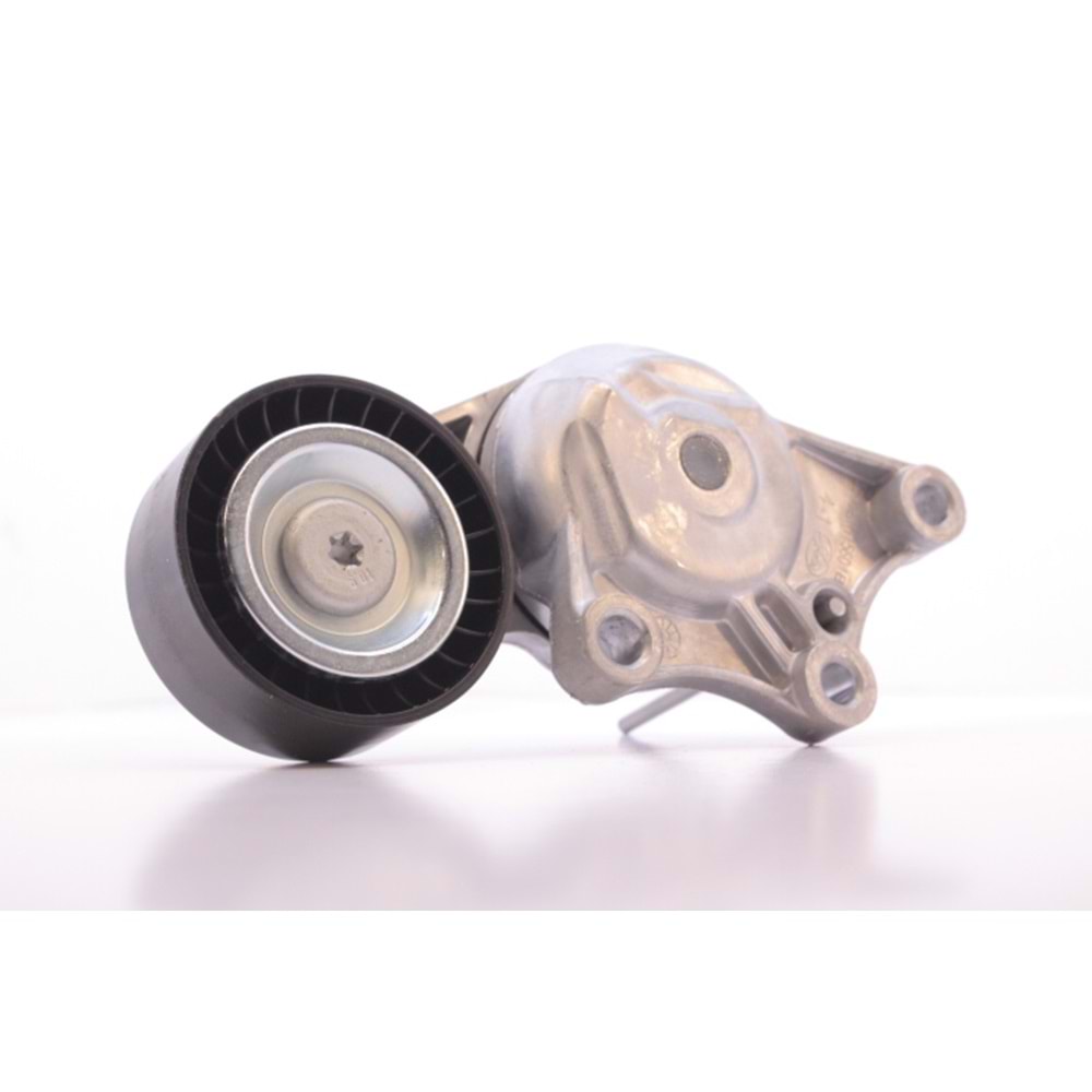 ALTERNATOR RULMANI 308-3008-5008-PARTNER Tepee