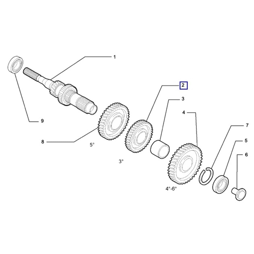 3. VITES DISLISI JEST ( KARSILIK DISLISI )