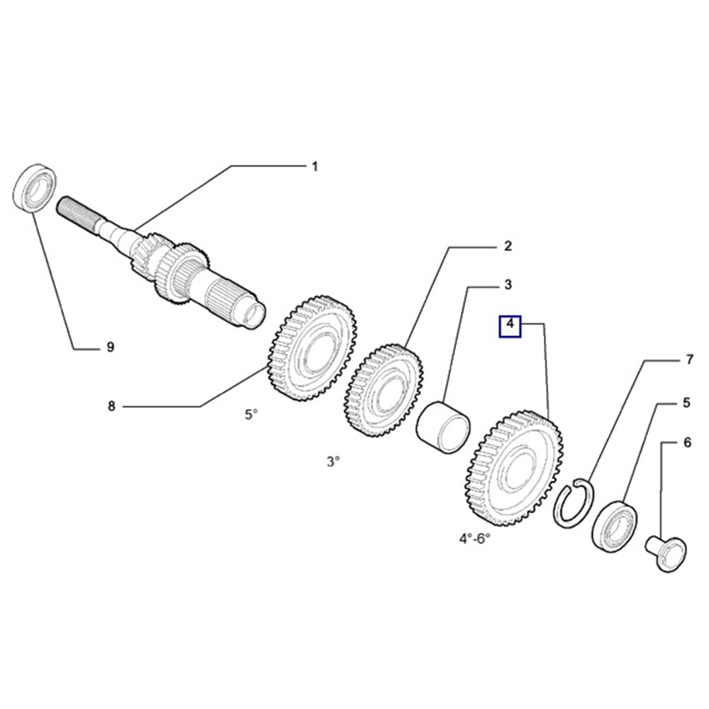 6.VITES DISLISI JEST