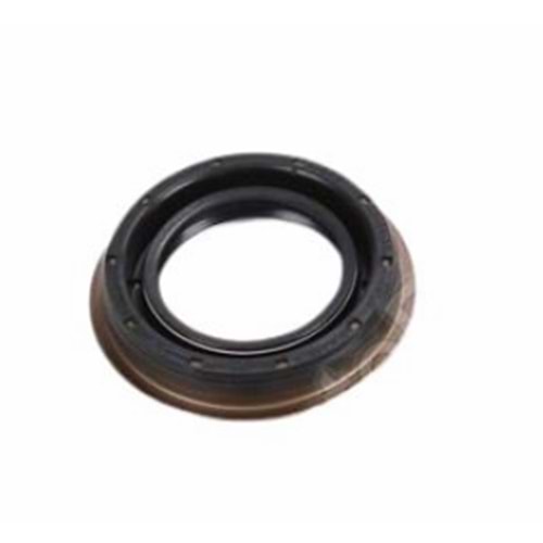 AKS KEÇESİ SAĞ DUCATO- JEST